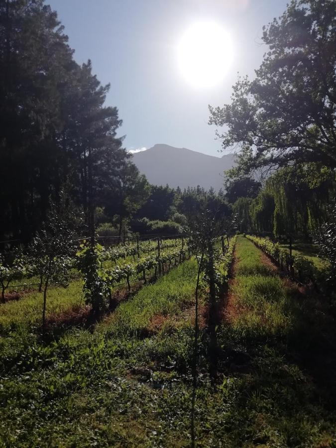 Cabernet Cottage Be Still And Know Franschhoek Exterior photo