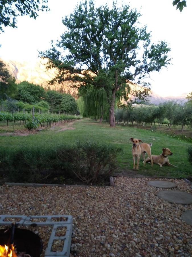 Cabernet Cottage Be Still And Know Franschhoek Exterior photo